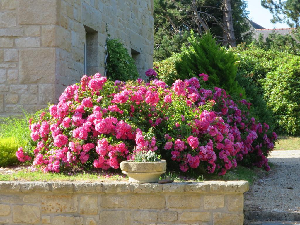 Kerblondel Bed & Breakfast Plouézocʼh Exterior foto